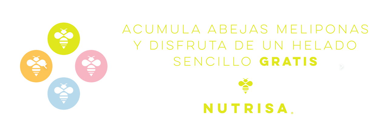 Acumula abejas meliponas y disfruta de un helado sencillo gratis